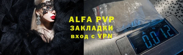 PSILOCYBIN Белокуриха