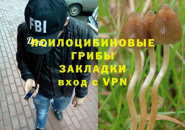 шишки Беломорск