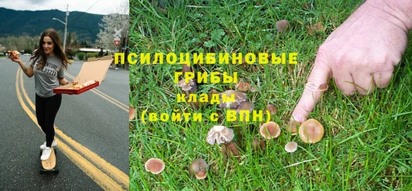мдпв Богородицк