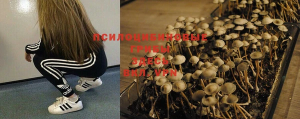 мдпв Богородицк