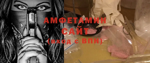 шишки Беломорск
