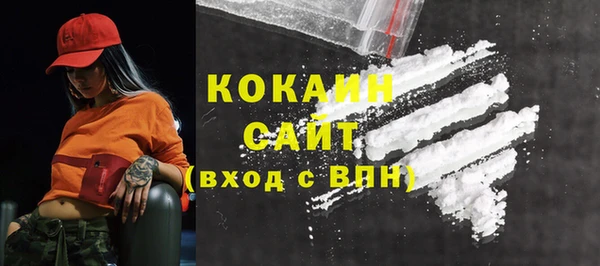 шишки Беломорск