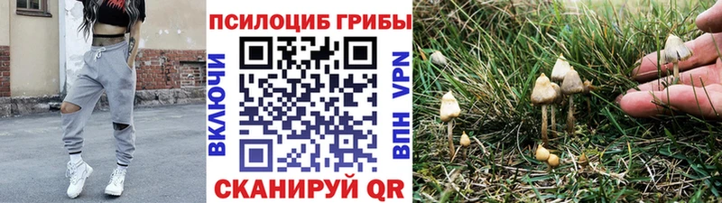Галлюциногенные грибы MAGIC MUSHROOMS  закладка  Волгореченск 